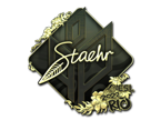 Staehr (Gold) | Rio 2022 image